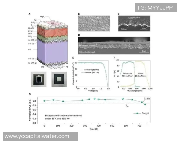 南京攀岩队速度对比分析探讨团队表现与训练策略的影响因素
