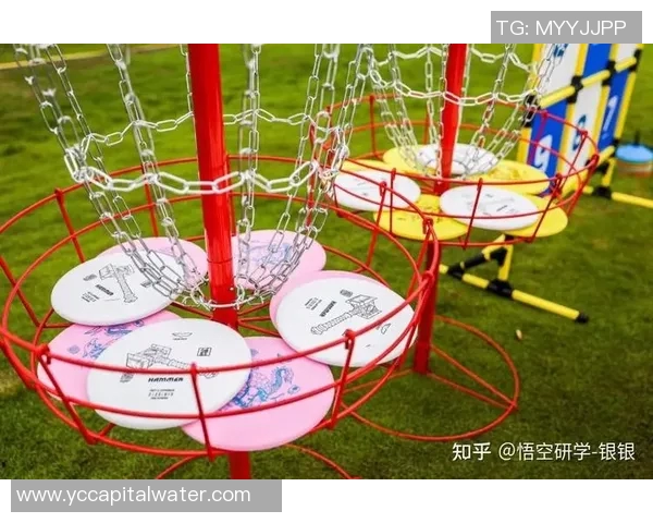 南京飞盘队技术探讨：提升竞技水平与团队协作的关键要素分析