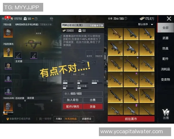 和平精英巨献：深入解析WE战队的实力与战术魅力