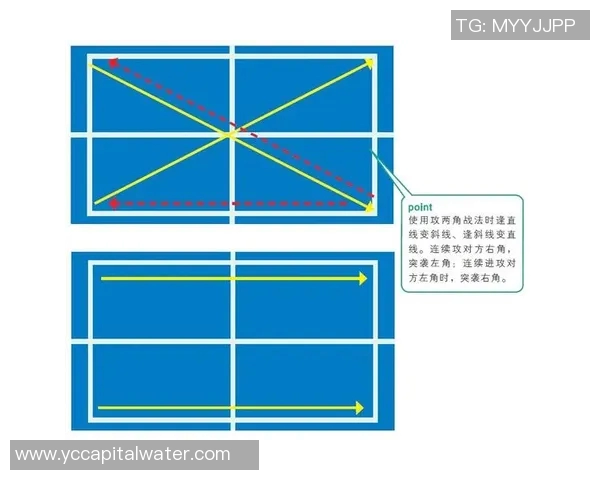 广州乒乓球队反击战术深度解析与训练策略探讨