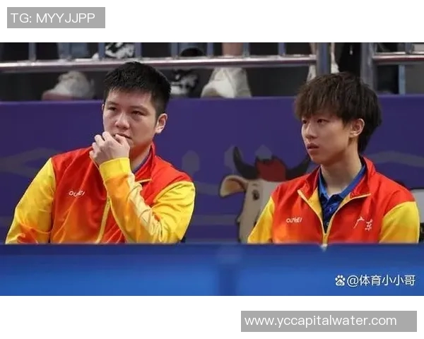 武汉乒乓球队实力引发热议球迷与专家的不同观点分析