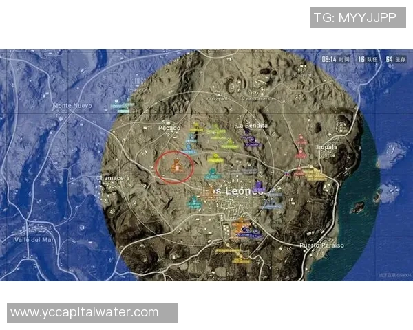 深入分析V5战队的区域防守策略与战术布局