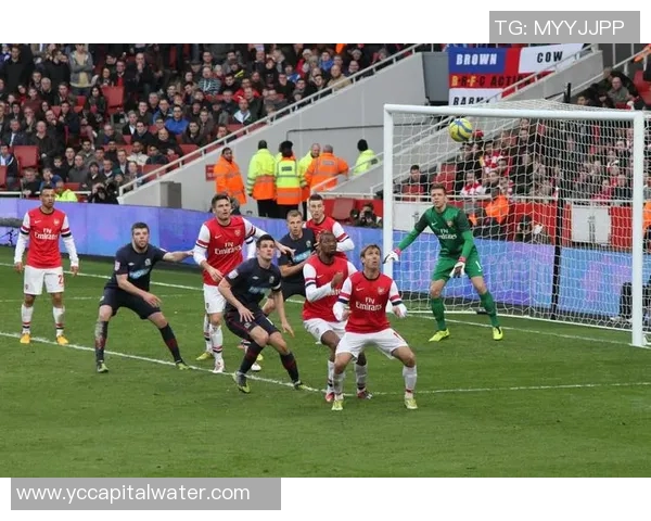 深度分析重庆乒乓球队区域防守战术的优势与应用