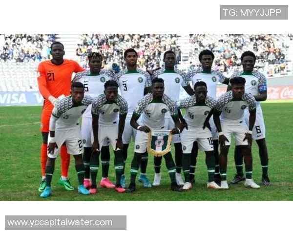 卡塔尔与尼日利亚比赛结果分析及精彩瞬间回顾