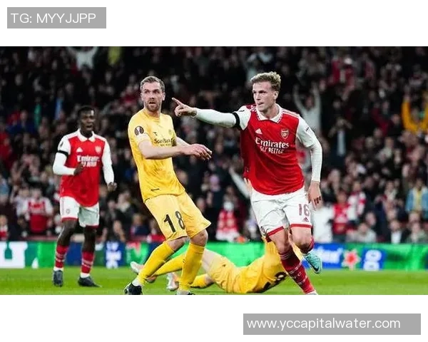 天狼星与马尔默精彩对决直播全程回顾与赛后分析 天狼星与马尔默精彩对决直播全程回顾与赛后分析