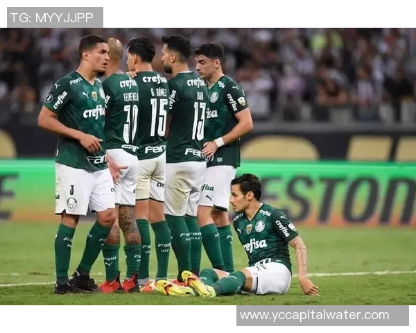 巴拉纳与帕梅拉斯激战正酣谁能在这场对决中笑到最后 巴拉纳与帕梅拉斯激战正酣谁能在这场对决中笑到最后