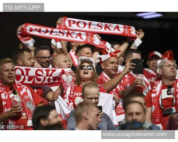 波兰与塞内加尔实时对决精彩回顾与赛况分析 波兰与塞内加尔实时对决精彩回顾与赛况分析