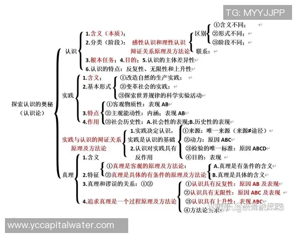 王少杰:从平凡到卓越的奋斗历程与人生哲学探索 王少杰:从平凡到卓越的奋斗历程与人生哲学探索