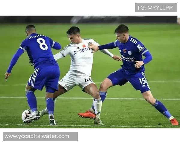 纽卡斯尔联队迎战利兹联队期待精彩对决与激烈竞争 纽卡斯尔联队迎战利兹联队期待精彩对决与激烈竞争