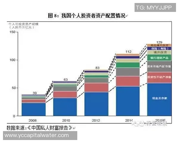 若昂内维斯的职业生涯回顾与未来发展展望分析