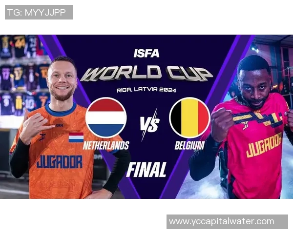 2018年比利时与荷兰足球对决回顾及精彩瞬间分析
