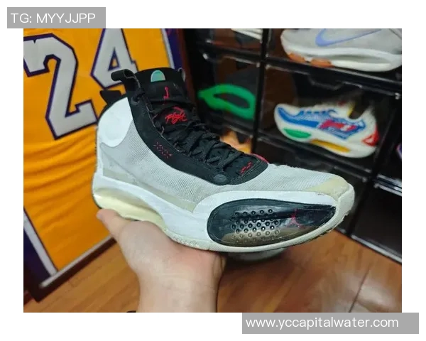 AJ34与勒布朗17的全面对比分析与性能评测